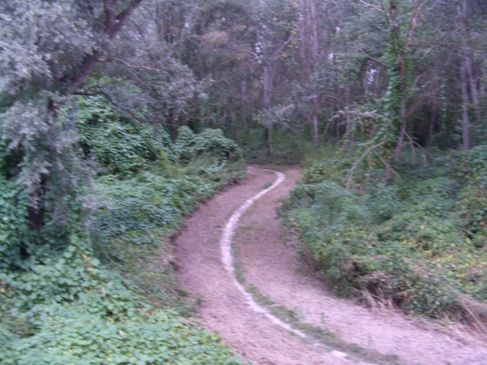 img-2017/mtb-trail--2017-07-21--parco-al-po--1296--small