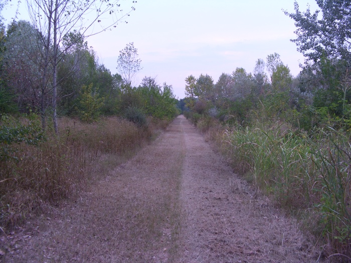 img-2017/mtb-trail--2017-07-21--parco-al-po--1306--small