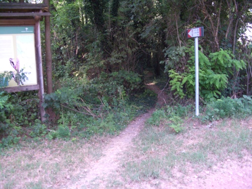 img-2017/mtb-trail--2017-08-09--magic-labyrinth-06-small