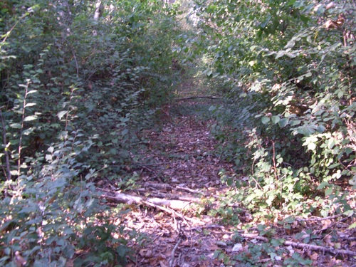 img-2017/mtb-trail--2017-08-09--magic-labyrinth-35-small