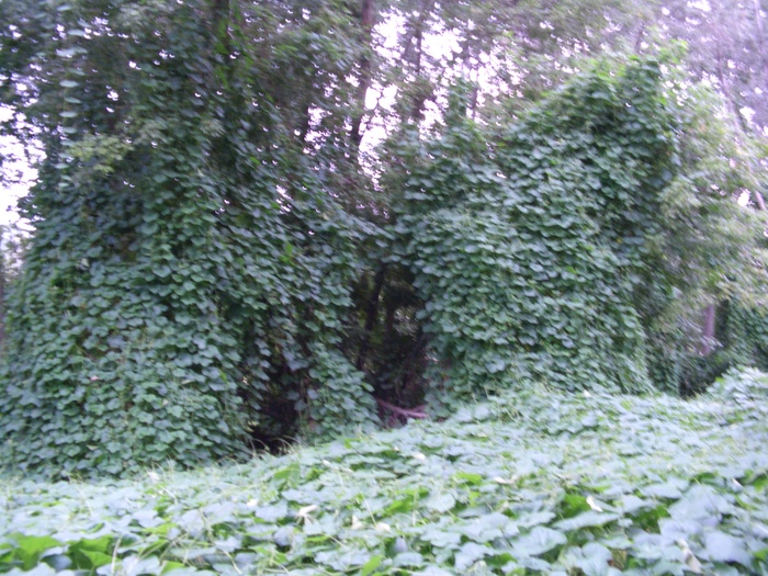 img/mtb-trail--2017-07-21--parco-al-po--1292--small