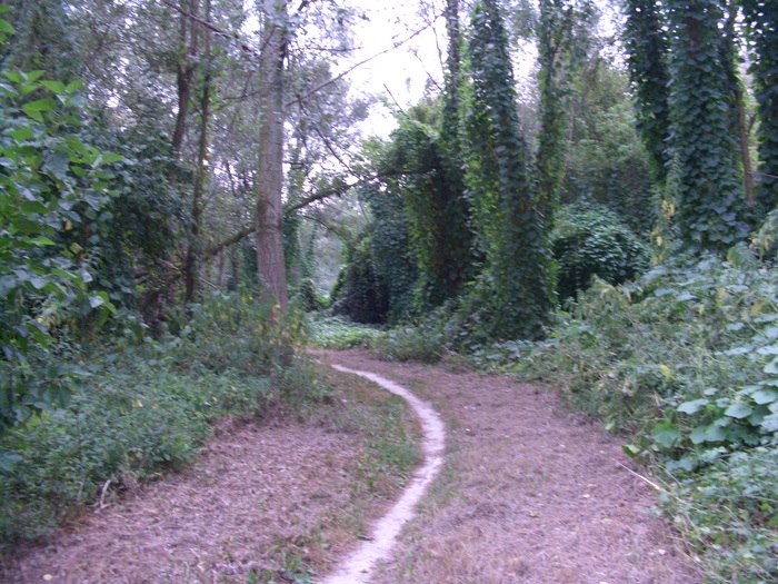 img/mtb-trail--2017-07-21--parco-al-po--1294--small