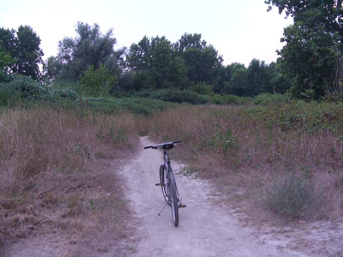 img/mtb-trail--2017-07-21--parco-al-po--1300--small