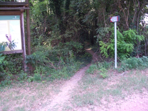 img/mtb-trail--2017-08-09--magic-labyrinth-06-small