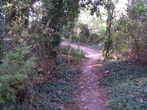 img/mtb-trail--2017-08-09--magic-labyrinth-17-small