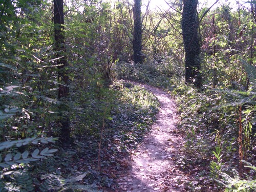 img/mtb-trail--2017-08-09--magic-labyrinth-27-small