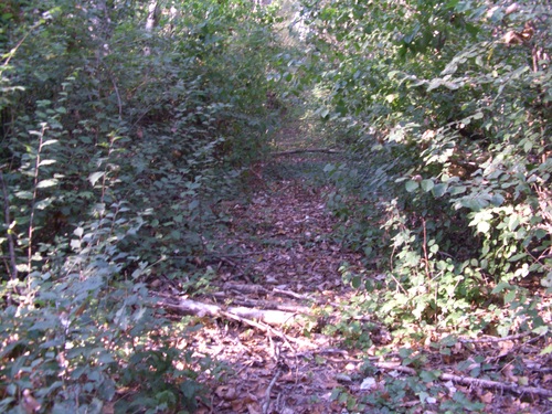 img/mtb-trail--2017-08-09--magic-labyrinth-35-small